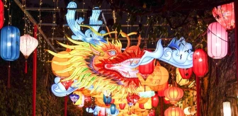 Nanjing'de Çin Yeni Yılı kutlamaları fenerlerle aydınlatıldı