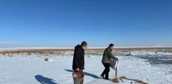 Ardahan ve Kars'ta dondurucu soğuklar nedeniyle yaban hayvanlarına doğada yem bırakıldı