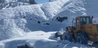 Batman'da Kar Yağışı Nedeniyle 4 Köy ve 15 Mezra Yolu Ulaşıma Kapandı