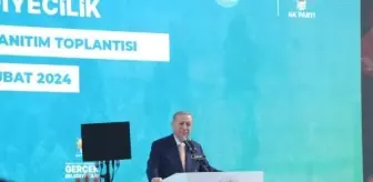 MERKEZİ VE YEREL YÖNETİM EL ELE VERMEZSE O ŞEHRE HERHANGİ BİR ŞEY GELMEZ