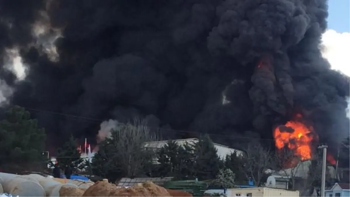 Gebze'deki Kimya Fabrikasında Yangın Çıktı