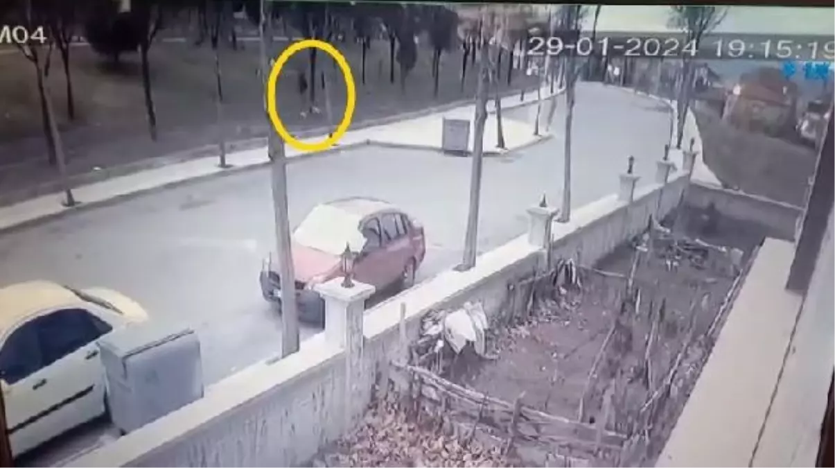 Taksi şoförünün köpeğine saldırı anı güvenlik kamerasında