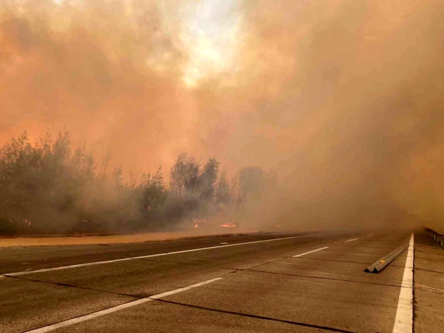 Şili'de Orman Yangınları: 10 Kişi Hayatını Kaybetti, Olağanüstü Hal İlan Edildi