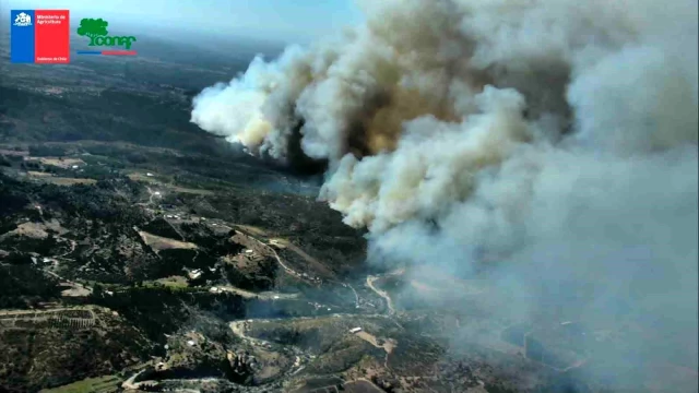Şili'de Orman Yangınları: 10 Kişi Hayatını Kaybetti, Olağanüstü Hal İlan Edildi
