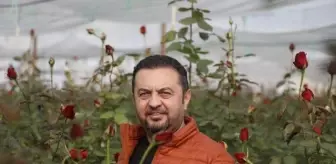 Sevgililer Günü'nde Kırmızı Gül Fiyatları Arttı