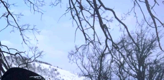 Tunceli'de Dağcılar Zel Dağı'na Tırmandı