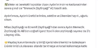 Aydın Memecik Zeytinyağı AB Coğrafi İşaret Tescili Aldı
