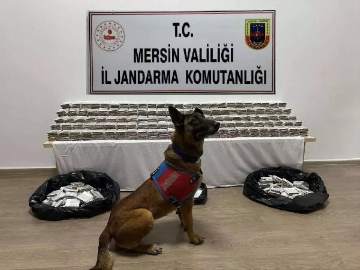 Mersin'de Kaçak Makaron Operasyonu: 61 Bin 700 Makaron Ele Geçirildi