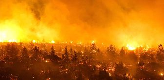 Şili'deki orman yangınlarında ölü sayısı 110'a yükseldi
