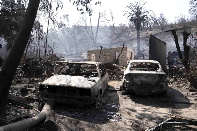 Şili'deki Orman Yangınlarında Hayatını Kaybedenlerin Sayısı 123'e Yükseldi