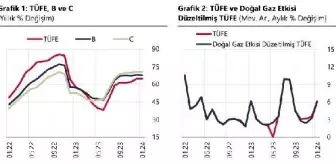 TCMB: Yıllık enflasyon temel mal ve enerjide yükselirken diğer gruplarda geriledi