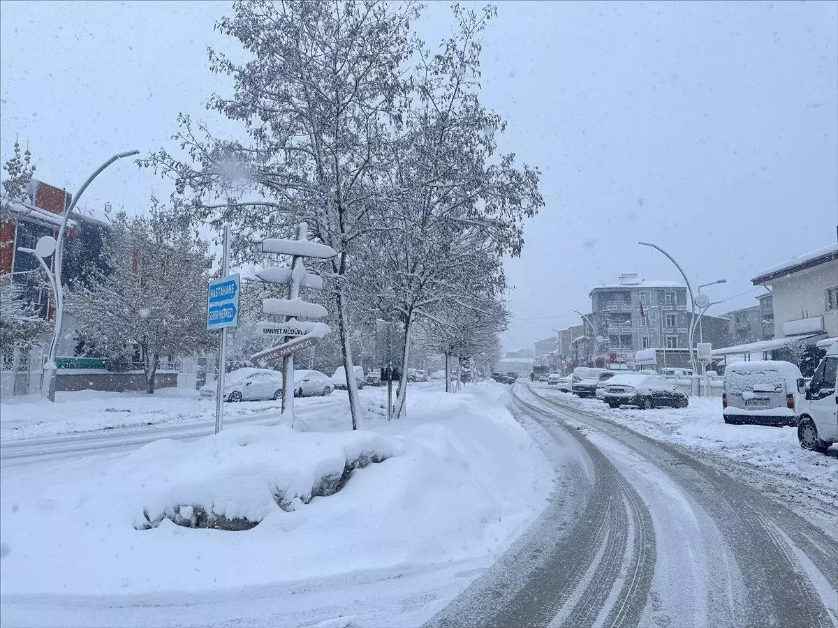 Van, Bitlis ve Muş'ta Kar ve Tipi Nedeniyle Yollar Kapandı