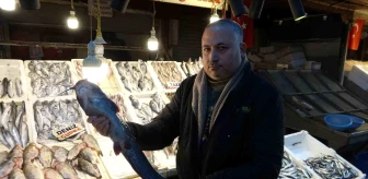 Akdeniz'de Balık Bolluğu: Ucuz Balık Tüketmeye Davet