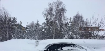 Ardahan'da Kar Kalınlığı Rekoru Kırıldı