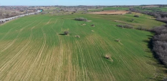 Kış Kuraklığı Buğday Üretimini Olumsuz Etkiliyor