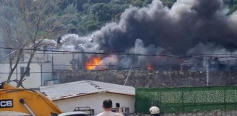 Bodrum'da izolasyon malzemeleri satışı yapan iş yerinde yangın çıktı