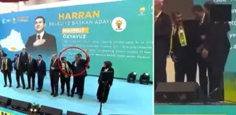 Şanlıurfa aday tanıtım toplantısında ilginç anlar! Cumhurbaşkanı Erdoğan'a yakın durmak için birbirleriyle itiştiler