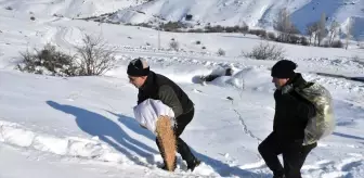 Erzurum'da Karlı Araziye Yem Bırakma Çalışmaları