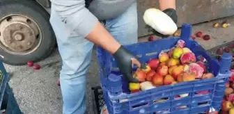 Osmaniye'de Elma Yüklü Kamyonette 40 Milyon Liralık Metamfetamin Ele Geçirildi