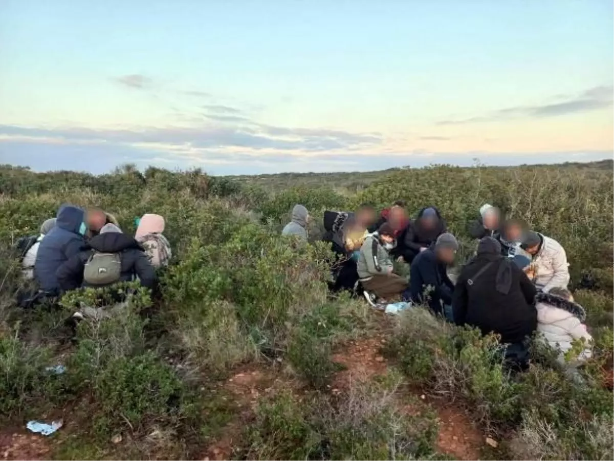 Didim'de Kaçak Göçmen Operasyonu: 23 Göçmen ve 3 Organizatör Yakalandı