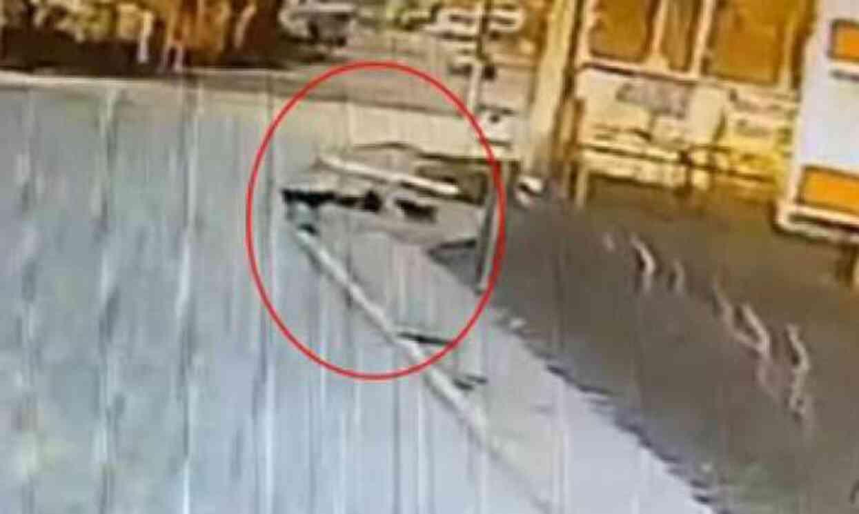 Kocaeli'de başıboş köpek sorunu büyüyor! İki ayrı saldırıya rağmen belediyeden çıt yok Kocaeli'de başıboş köpek sorunu büyüyor! İki ayrı saldırıya rağmen belediyeden çıt yok