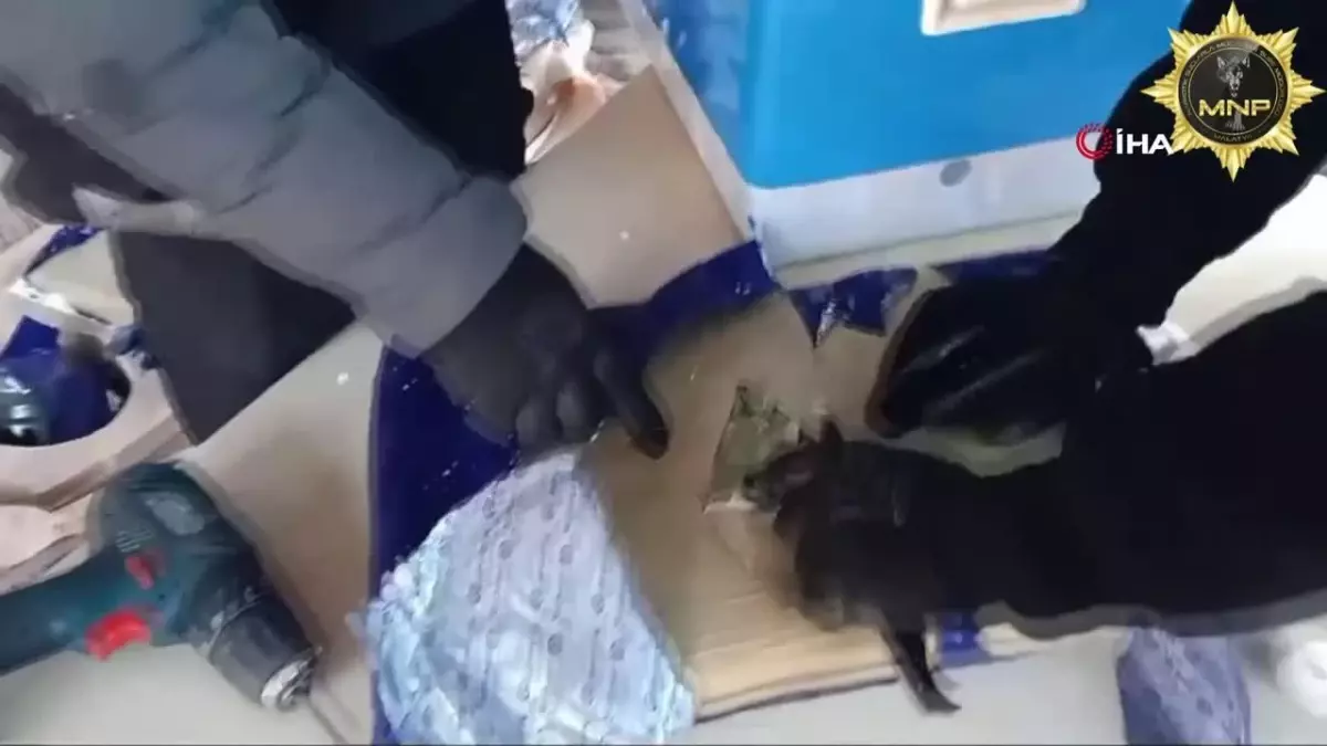 Malatya'da 6 kilo 250 gram skunk ele geçirildi