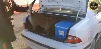 Malatya'da Otomobilde Skunk Maddesi Ele Geçirildi