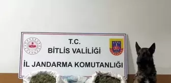 Bitlis'te Tandırda Gizlenmiş 10 Kilo Skunk Ele Geçirildi