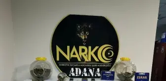 Adana'da torbacılara operasyon: 6 tutuklama