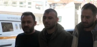 Çöp yüklü TIR'da kaçak göçmen yakalandı, sürücü tutuklandı