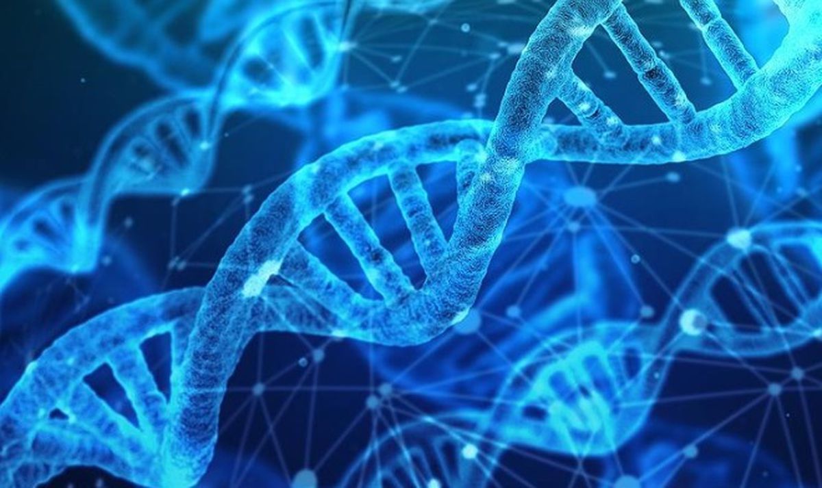 Hamileyken DNA testi yapılır mı?