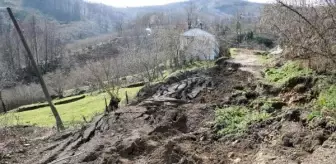 DÜZCE'de Kersendüzü Mahallesi'nde Heyelan ve Çökmeler Devam Ediyor