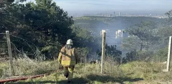 Maltepe'de Ormanlık Alanda Çıkan Yangın Kontrol Altına Alındı