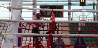 Türkiye Muaythai Federasyonu Doğu Anadolu Bölge Şampiyonası final karşılaşmaları yapıldı