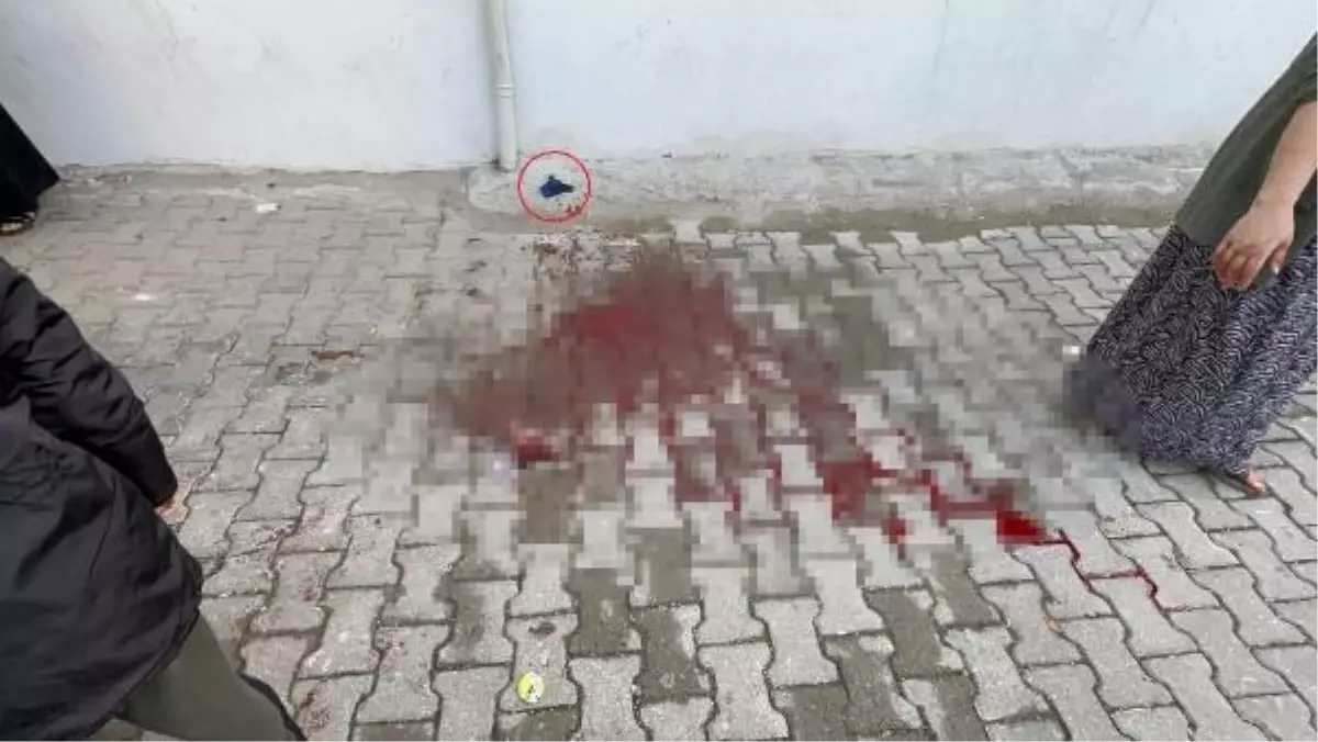 Diyarbakır'da İşitme Engelli Genç Bıçaklandı