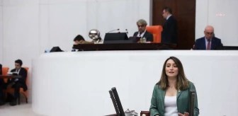 CHP Milletvekili Aysu Bankoğlu, Adalet Bakanı Tunç'a Sezgin Baran Korkmaz ile ilgili sorular sordu