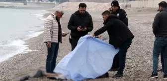 Antalya'da kıyıya vuran cesetlerin sayısı 9'a yükseldi! Bileğindeki 'Atatürk' dövmesi dikkat çekti