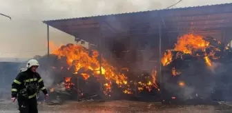 Yıldırım düşen ahırda 2 bin balya saman yandı