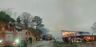 Çanakkale'de ahıra yıldırım isabet etmesi sonucu saman balyaları yandı