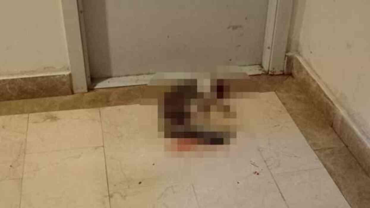 Kediyi 6 dakika boyunca döverek öldüren cani iyi hal indirimiyle serbest bırakıldı