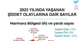 Türkiye'de 2023 yılında meydana gelen silahlı şiddet olaylarında Sakarya 6. sırada