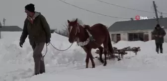 Muş'ta besicilerin imdadına atlı kızaklar yetişti