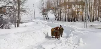 Muş'ta Karlı Köylerde Besicilerin Zorlu Mücadelesi