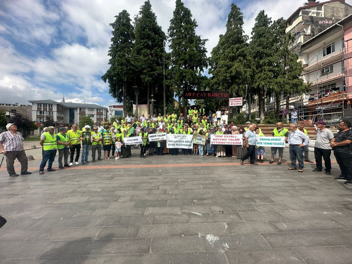 Ordu'da bentonit madeni için yürütmeyi durdurma kararı
