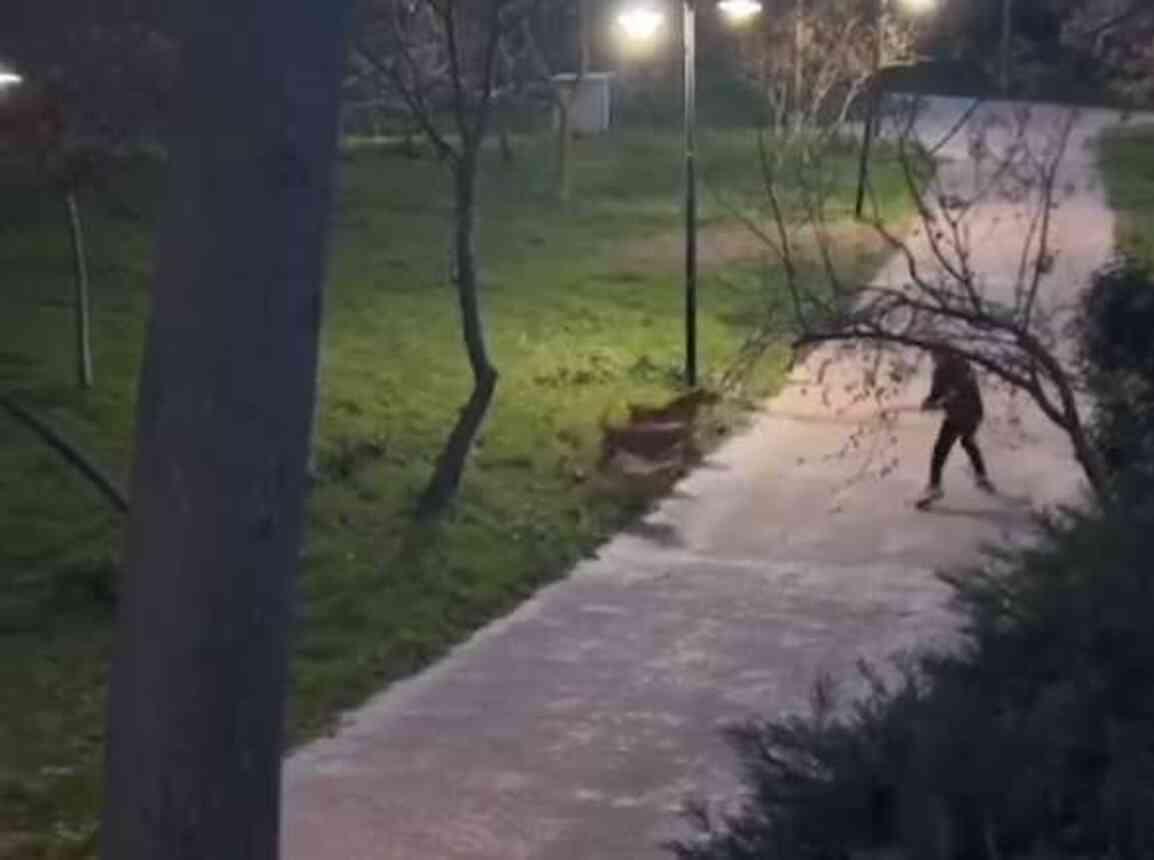 Sokak köpekleri tehdit oluşturmaya devam ediyor: Parkta yürürken saldırıya uğradı