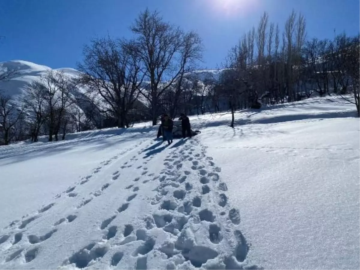 Van'da kar altında kalan samanlar kızakla taşındı