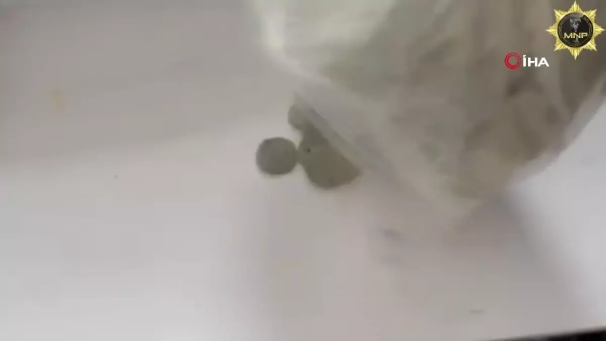 Malatya'da tarihi eser operasyonu