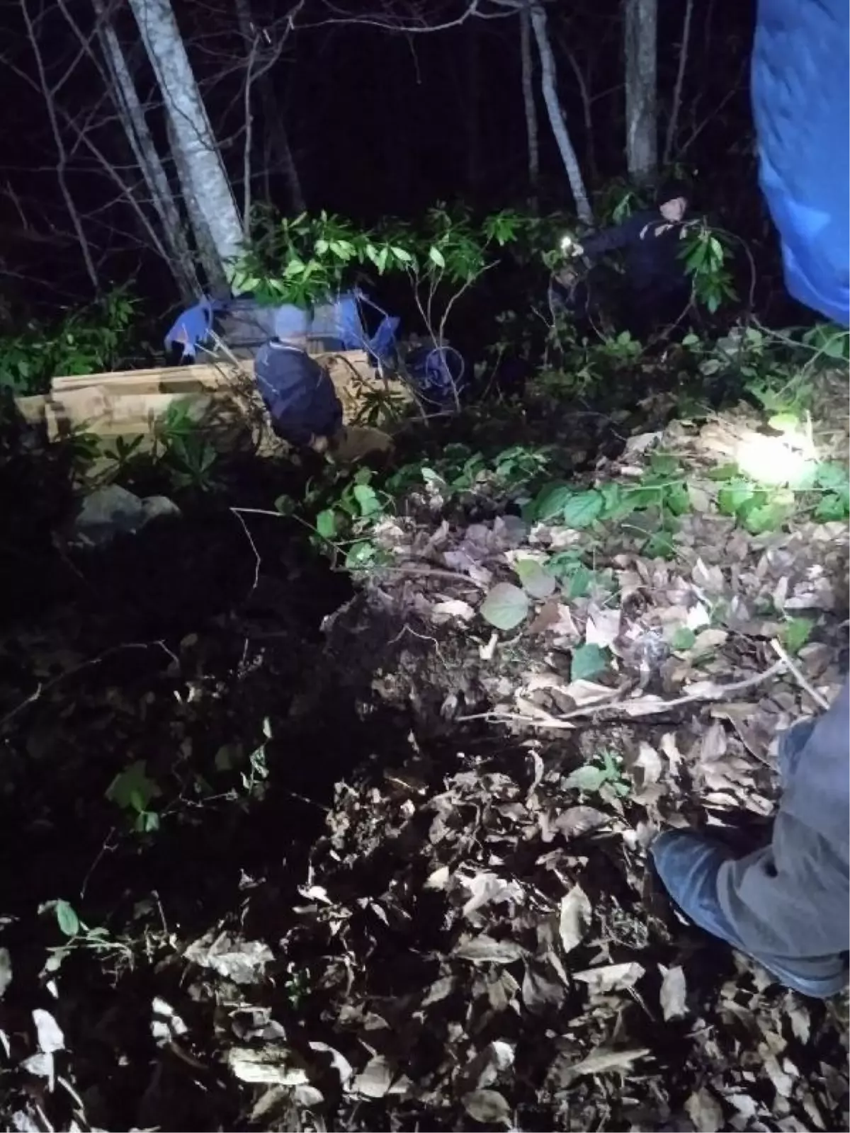 Alaplı'da Tarım Aracı Devrildi: 1 Ölü