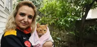 AFAD Gönüllüsü Kedi Kurtardı