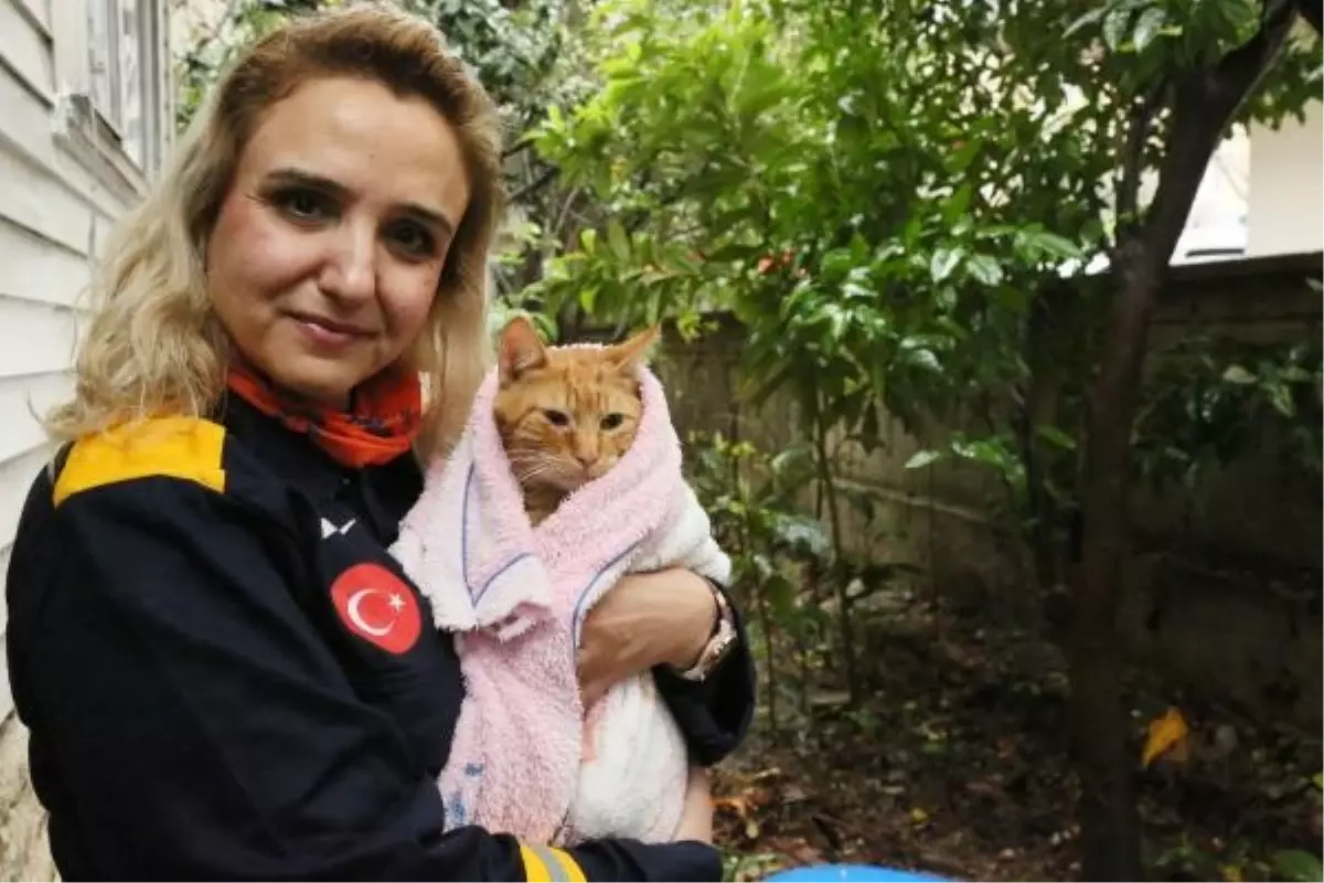 AFAD Gönüllüsü Kedi Kurtardı